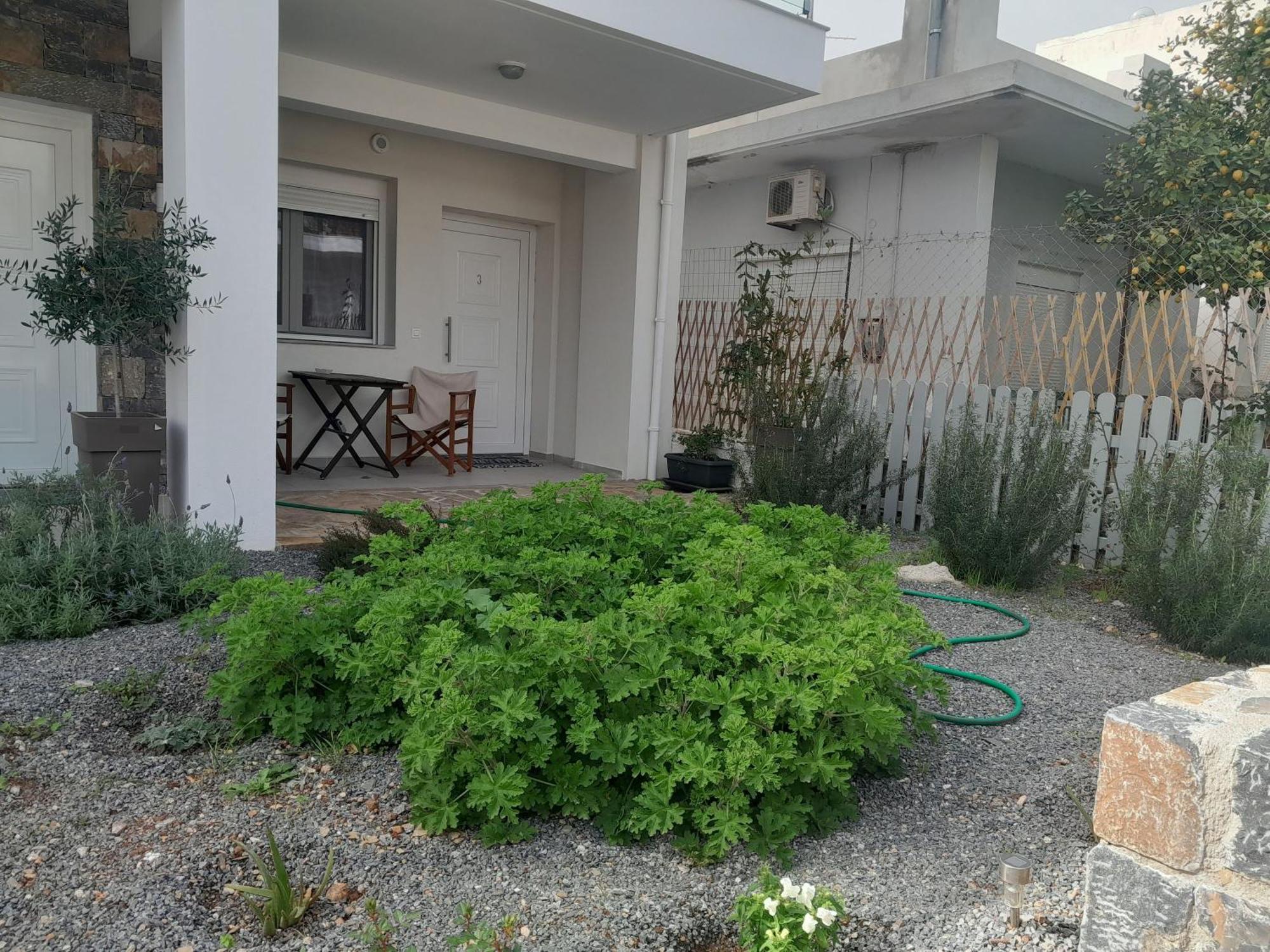Apartment Olithos *
